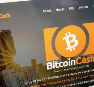 Bitcoin vs. Bitcoin Cash: Coexistence or Downfall of Bitcoin Cash?