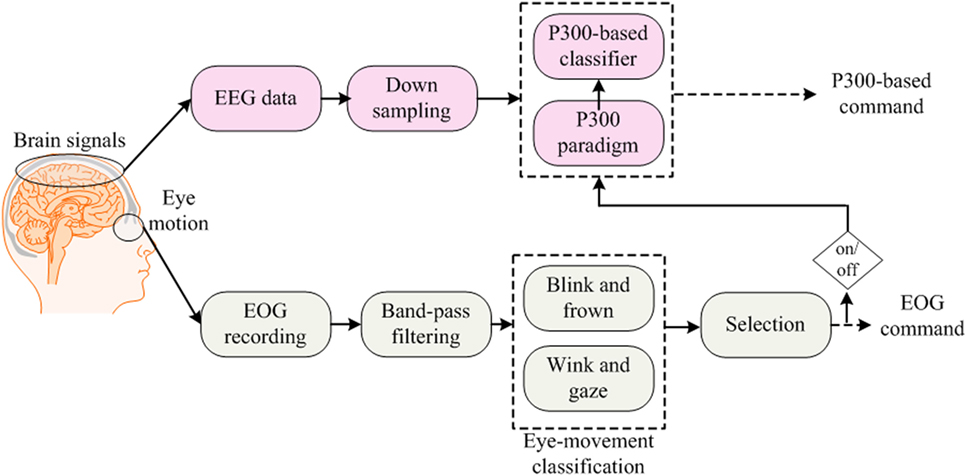 An Effective Hybrid Model for EEG-Based Drowsiness Detection