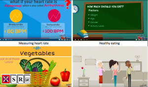 A Case Study of the Design Practices and Judgments of Novice Instructional Designers