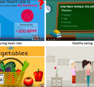 A Case Study of the Design Practices and Judgments of Novice Instructional Designers