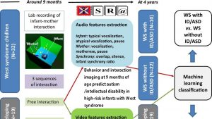 Behavior and interaction imaging at 9 months of age predict autism/intellectual disability in high-risk infants with West syndrome