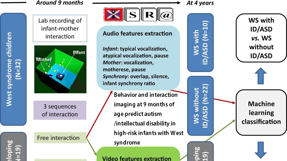 Behavior and interaction imaging at 9 months of age predict autism/intellectual disability in high-risk infants with West syndrome