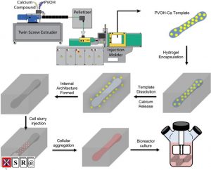 Color measurement of plastics - From compounding via pelletizing, up to injection molding and extrusion