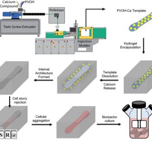 Color measurement of plastics - From compounding via pelletizing, up to injection molding and extrusion