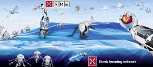 Bionic Learning Network