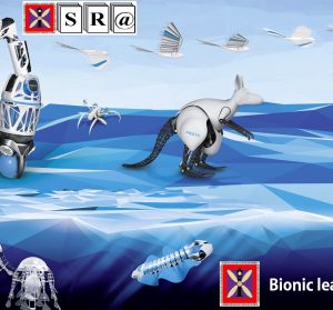 Bionic Learning Network