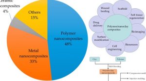 A Review of the Synthesis and Applications of Polymer–Nanoclay Composites