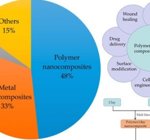 A Review of the Synthesis and Applications of Polymer–Nanoclay Composites