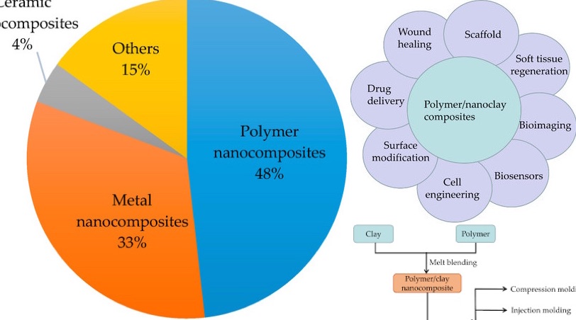 A Review of the Synthesis and Applications of Polymer–Nanoclay Composites
