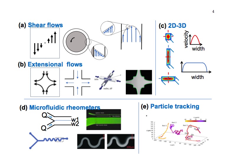 Dynamics of flexible fibers in viscous flows and fluids