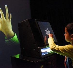 HCI Requirements for Young Primary School CALL Learners