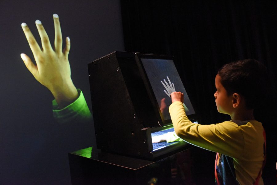 HCI Requirements for Young Primary School CALL Learners