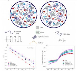 Microstructural Development and Rheological Study of a Nanocomposite Gel Polymer Electrolyte Based on Functionalized Graphene for Dye-Sensitized Solar Cells