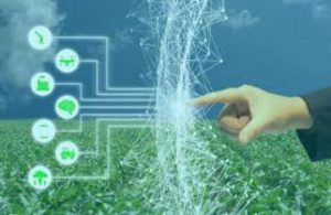 Prevention of Agricultural Commodities using Artificial Intelligence