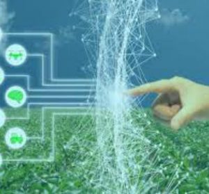 Prevention of Agricultural Commodities using Artificial Intelligence