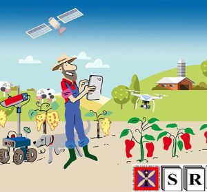 Advanced Visualisation of Big Data for Agriculture as Part of Databio Development