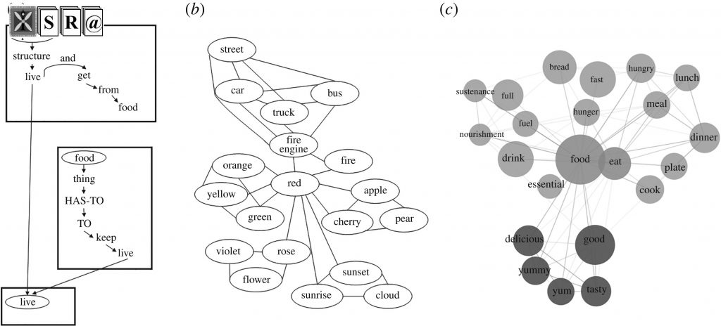 Contributions of modern network science to the cognitive sciences: revisiting research spirals of representation and process