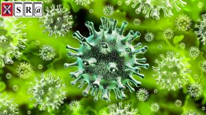 IT Risk and Resilience—Cybersecurity Response to COVID-19