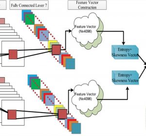 Identifying Emotion Labels From Psychiatric Social Texts Using a Bi-Directional LSTM-CNN Model