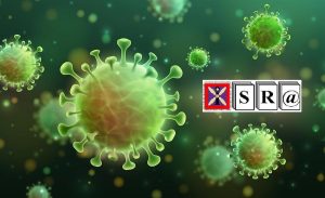 Can the COVID-19 Epidemic Be Controlled on the Basis of Daily Test Reports?