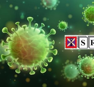 Can the COVID-19 Epidemic Be Controlled on the Basis of Daily Test Reports?