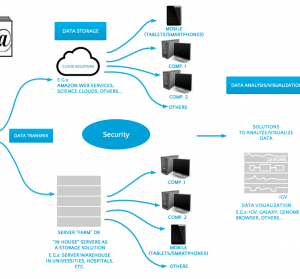 A Two-Phase Dynamic Throughput Optimization Model for Big Data Transfers