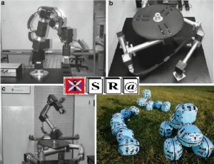Decentralized Pose Control of Modular Reconfigurable Robots Operating in Liquid Environments