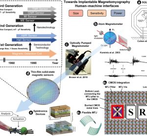 Integrated Pico-Tesla Resolution Magnetoresistive Sensors for Miniaturised Magnetomyography(MMG)