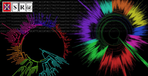 Non-smooth Projected Primal-Dual DynamicalApproach to Solve the Extended Fermat-TorricelliProblem