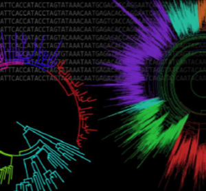 Non-smooth Projected Primal-Dual DynamicalApproach to Solve the Extended Fermat-TorricelliProblem