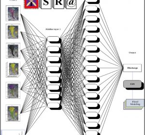 An Evolutionary MultiLayer Perceptron Algorithm for Real Time River Flood Prediction