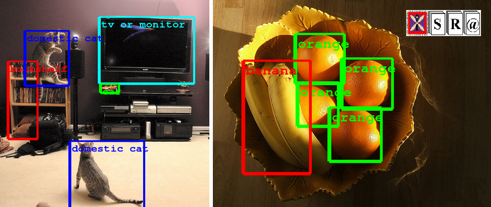 Real Time Object Detection in Surveillance Cameras with Distance Estimation using Parallel Implementation