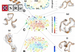 Deep clustering of protein folding simulations