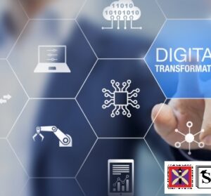 organizational architecture